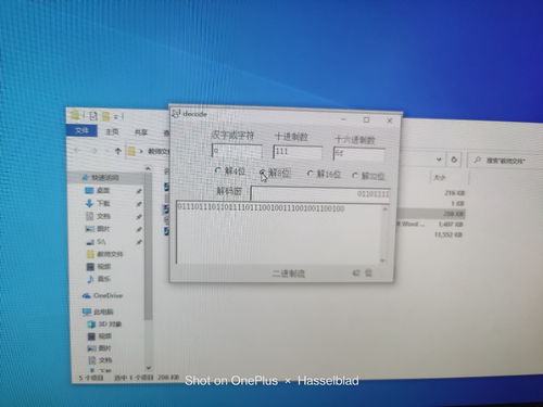 計(jì)算機(jī)及通訊設(shè)備租賃實(shí)驗(yàn)報(bào)告